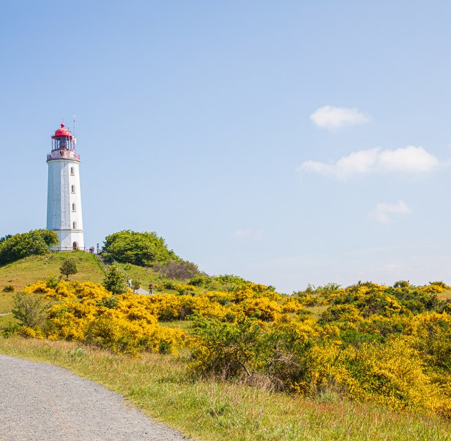 Das Wahrzeichen der Insel Hiddensee.
Kommt man zur Insel Hiddensee, so kommt man an ihm einfach nicht vorbei: dem Leuchtturm Dornbuch! // &copy; Wei&szlig;e Flotte GmbH