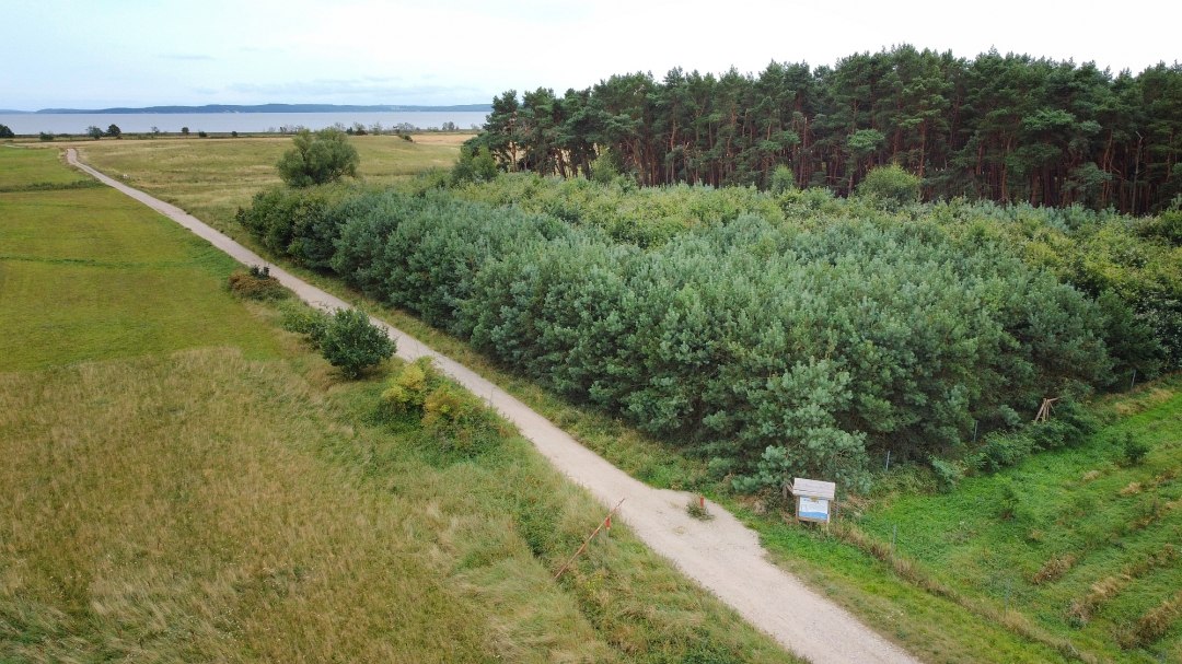 Klimawald Glowe Luftbild, © Landesforst MV Klimawald Glowe Luftbild, © Landesforst MV