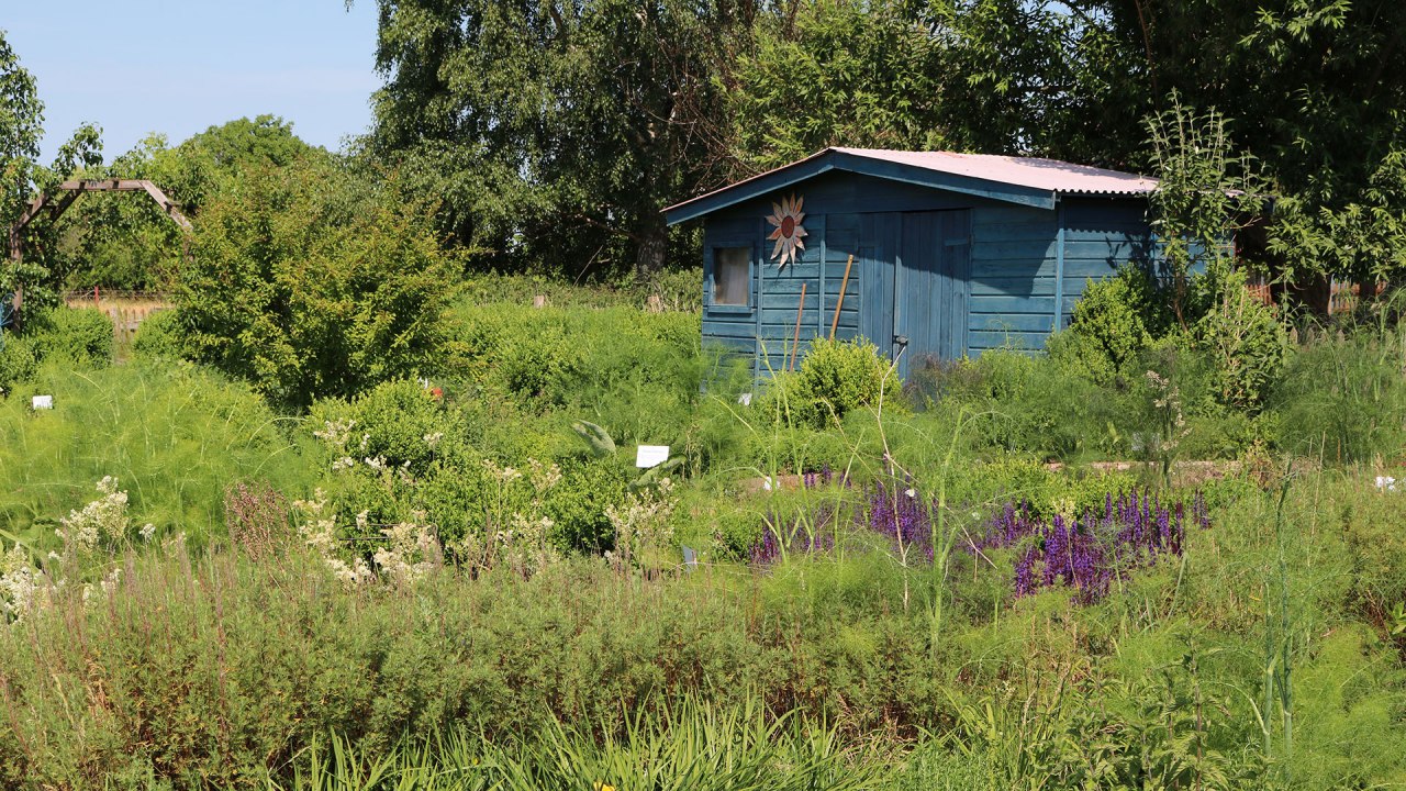 Luplower Kr&auml;uterg&auml;rtnerei // &copy; Silke Voss