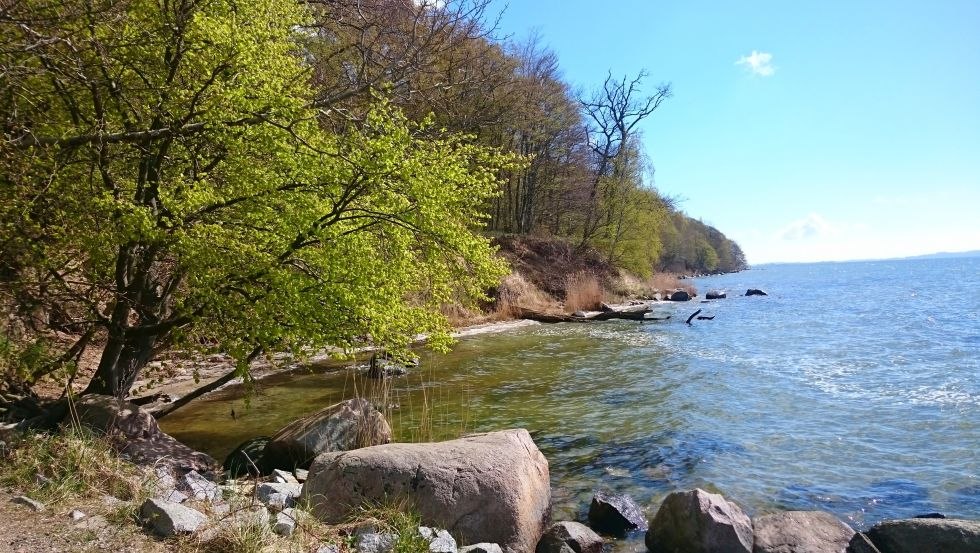 Station 5: Im Banne der K&uuml;stendynamik - das aktive Kliff // &copy; MV-T/UB