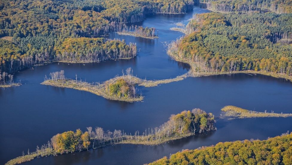 Der Blick über den Schweingartensee zeigt Vielfalt und Dynamik der Lebensräume im Müritz-Nationalpark, © TMV/Grundner Der Blick über den Schweingartensee zeigt Vielfalt und Dynamik der Lebensräume im Müritz-Nationalpark, © TMV/Grundner
