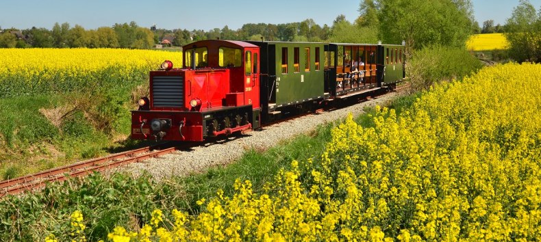 Lok im Rapsfeld // &copy; Bernd Lotzow