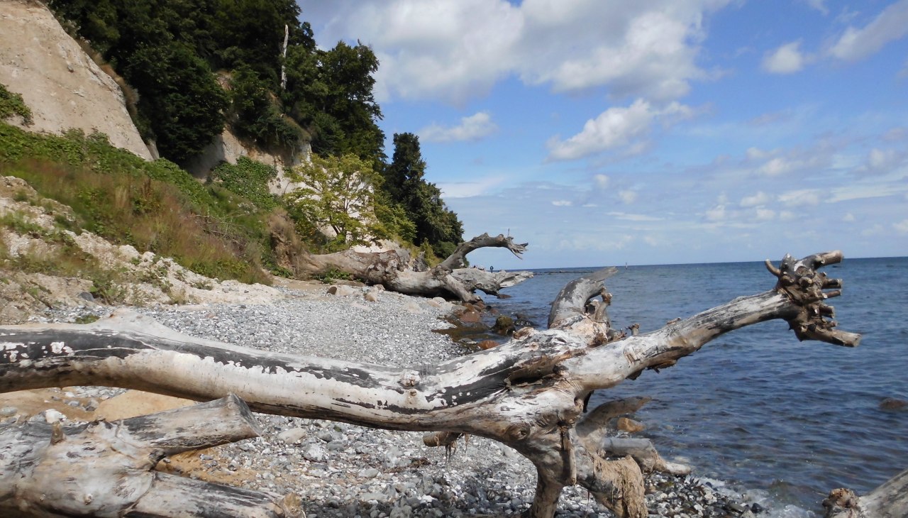 Steilk&uuml;ste vor Sassnitz, &copy; C.R&uuml;hle