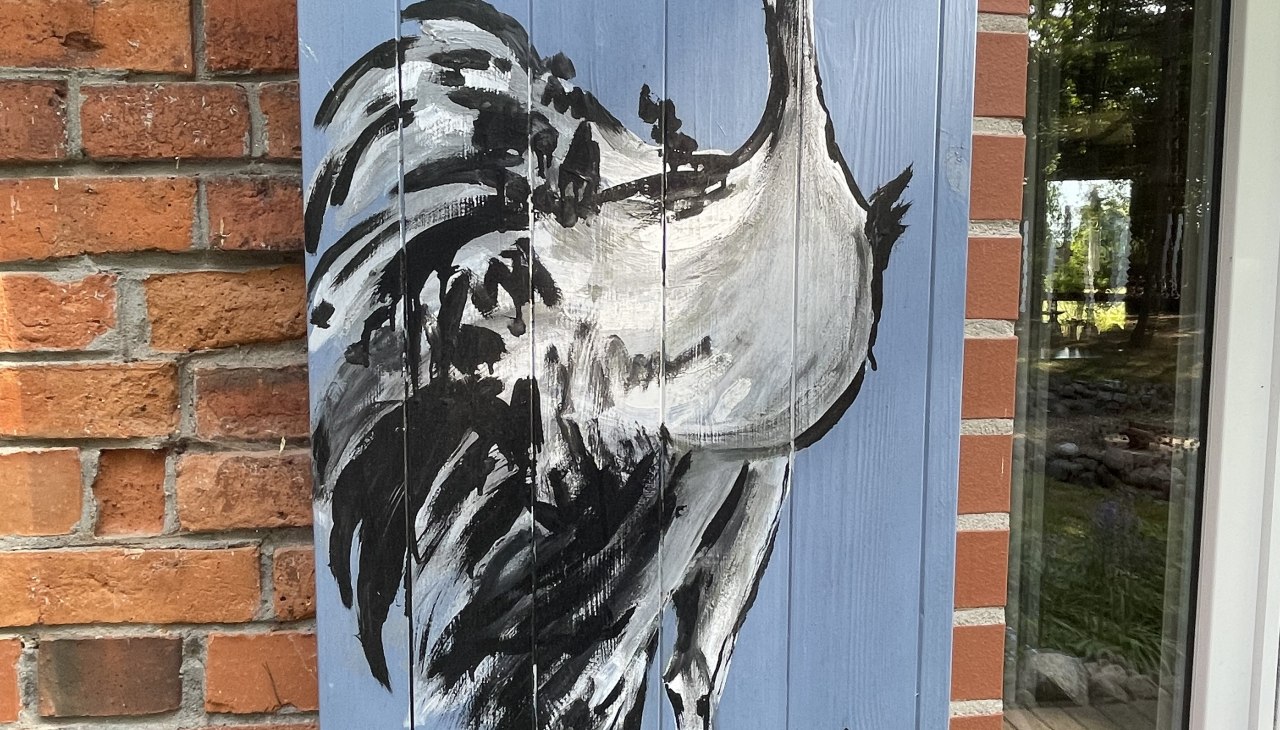 S. Elsenhans, © TZ Südliche Boddenküste