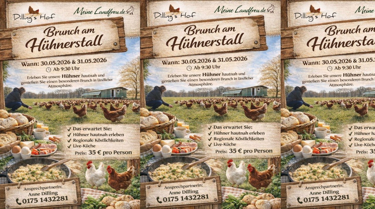 &copy; Dillings & Meine Landfreu.de