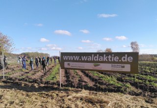 Ein Klimawald auf Rügen entsteht // © Johanna Köhnlein Ein Klimawald auf Rügen entsteht // © Johanna Köhnlein