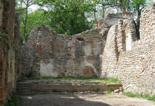 Umgeben von hohen Eichen ein verwunschener Platz im Landgrabenthal // © Angelika Michaelis Umgeben von hohen Eichen ein verwunschener Platz im Landgrabenthal // © Angelika Michaelis