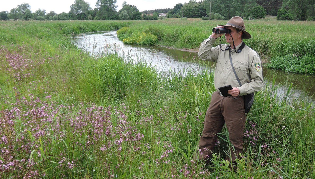 Schaalewiesen, © D. Foitlaenger Schaalewiesen, © D. Foitlaenger
