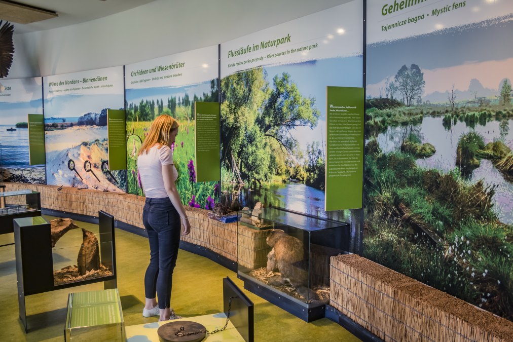 Naturpark Am Stettiner Haff - Ausstellungsr&auml;ume, &copy; tvv/Philipp Schulz
