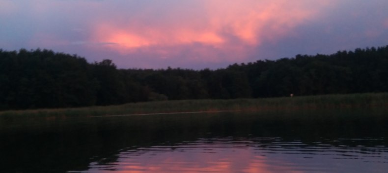 De dieren van de nacht ontwaken bij zonsondergang // &copy; Sabine G&ouml;rmar