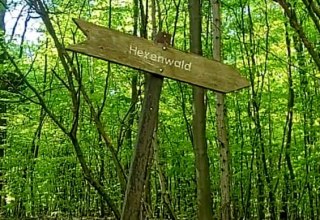 Hexenwald // &copy; www.diekreitners.de