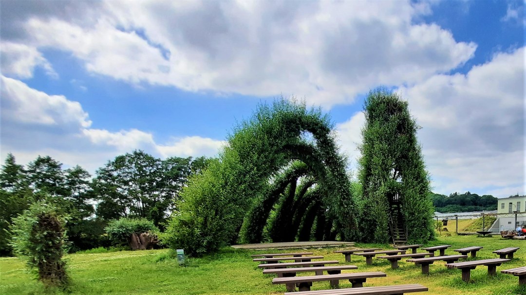 Weidenschneck und Weidengang, &copy; M. Lenthe