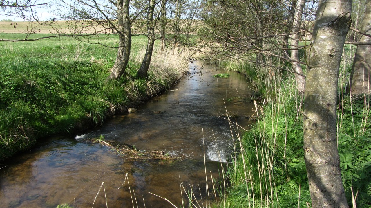 26-04-18 Wanderung zum Malchiner See, GMZ, &copy; C