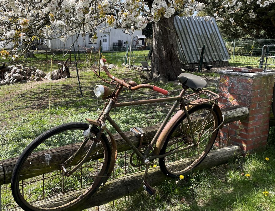 Drahtesel 1, &copy; S&uuml;dliche Boddenk&uuml;ste