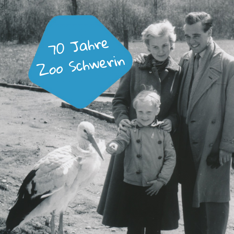 70 jaar dierentuin in Schwerin // &copy; Zoo Schwerin