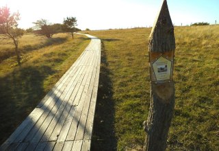 Naturschutzgebiet Nordwestufer Wittow und Kreptitzer Heide // &copy; Tourismuszentrale R&uuml;gen