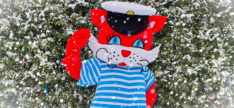 © 335176383015101 © 335176383015101