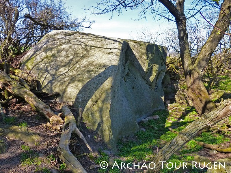 zwischen Bäumen und Gebüsch liegt der Findling von Nardevitz inmitten eines Feldes // © Archäo Tour Rügen zwischen Bäumen und Gebüsch liegt der Findling von Nardevitz inmitten eines Feldes // © Archäo Tour Rügen