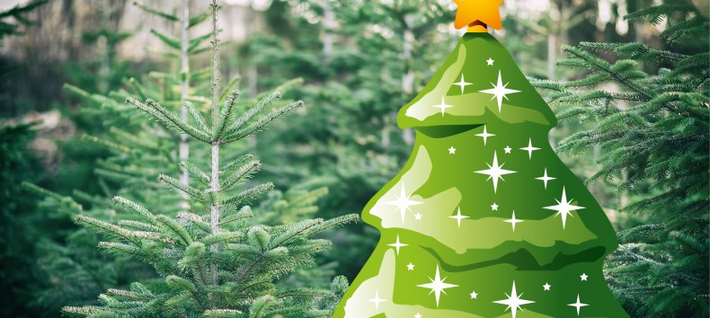 © Stadtmarketing Ribnitz-Damgarten © Stadtmarketing Ribnitz-Damgarten