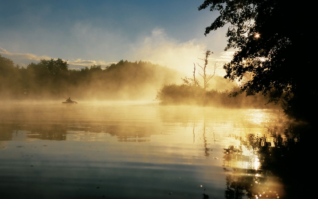 Geheimnisvoller Nebel am Morgen &uuml;ber der Peene // &copy; TMV/Grundner