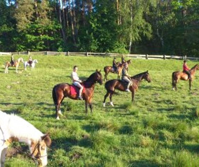 Mit dem Verein MP Horse Stables Dobbertin einen Wanderritt in der Gruppe genie&szlig;en // &copy; MP Horse Stables Dobbertin/ Maria Michaelis