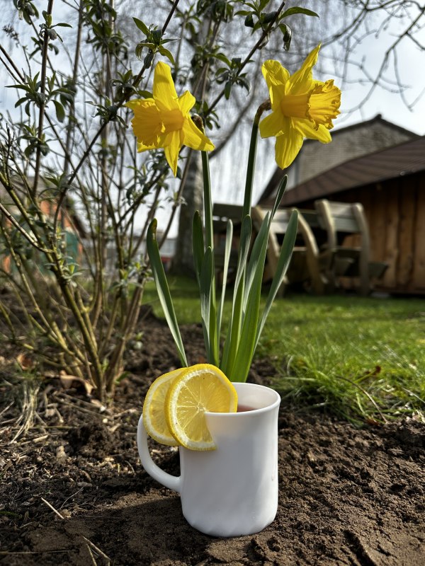 Pinksteren met de Bernstein Ruiters // &copy; de