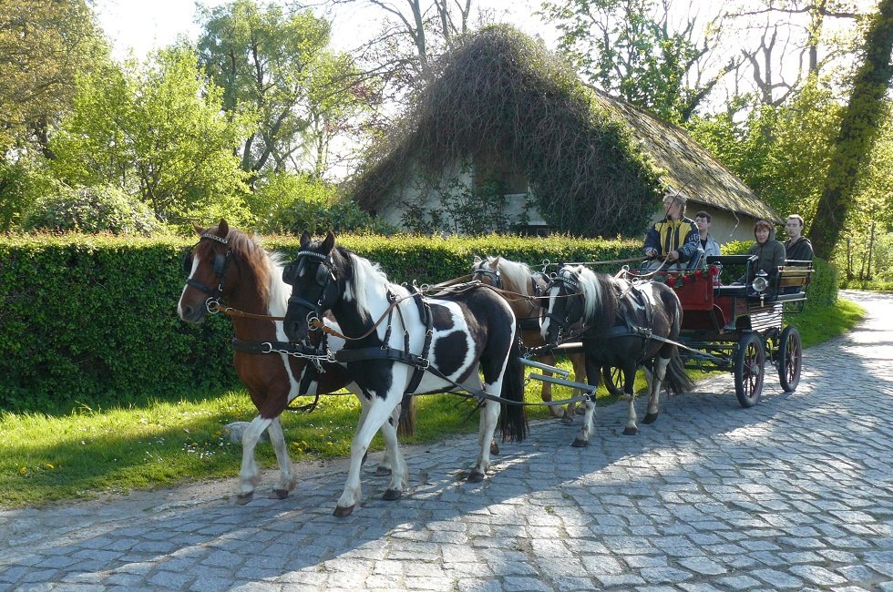 idyllische Ausfahrt mit dem Kremser // &copy; Ponyhof R&uuml;gen