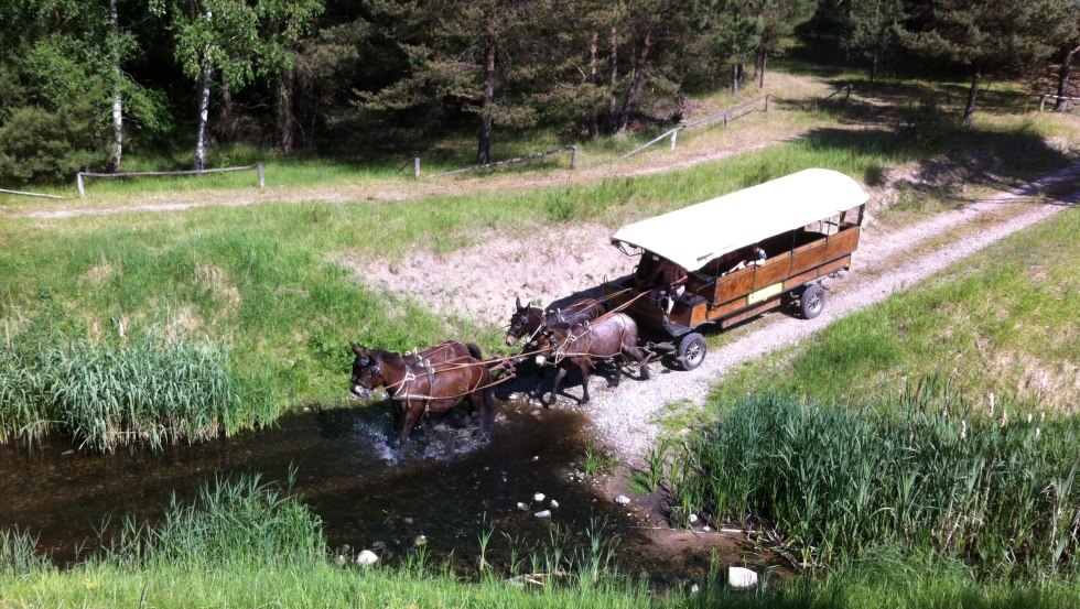Spannend kann sie sein, die Fahrt. gehen die Tiere durch´s Wasser? // © Reit- und Fahrtourstik Lychen Spannend kann sie sein, die Fahrt. gehen die Tiere durch´s Wasser? // © Reit- und Fahrtourstik Lychen
