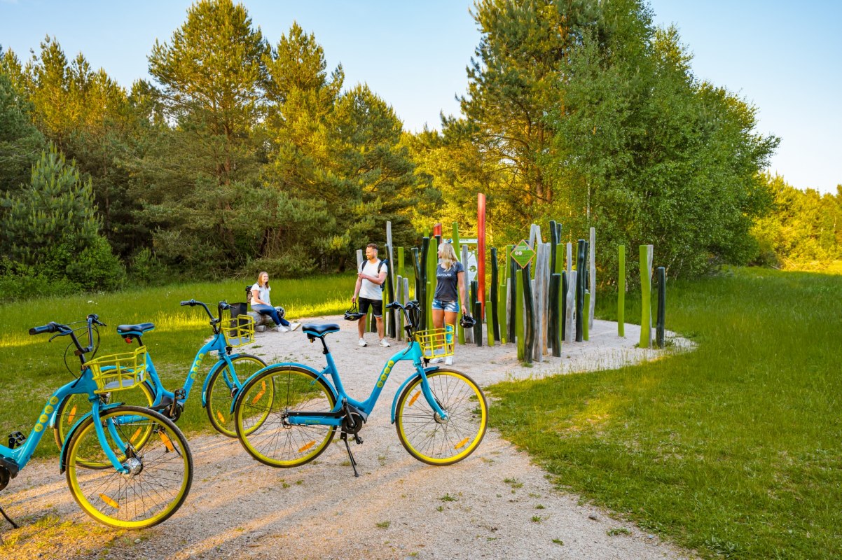Reuzenweide langs het ontdekkingspad in de Rostocker Heide // &copy; TMV/Tiemann