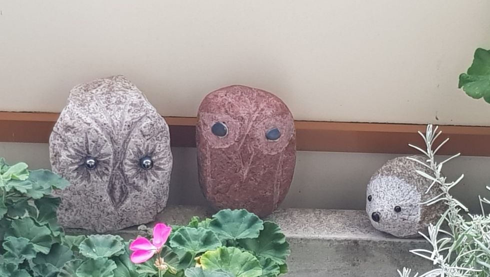 Tierischer Blick, &copy; Bea Zemke