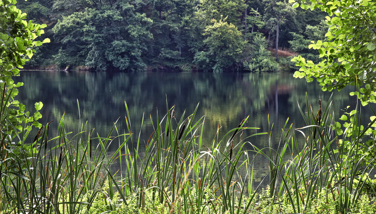 schwarzer-see-in-der-granitz_2, © TMV/Gohlke schwarzer-see-in-der-granitz_2, © TMV/Gohlke