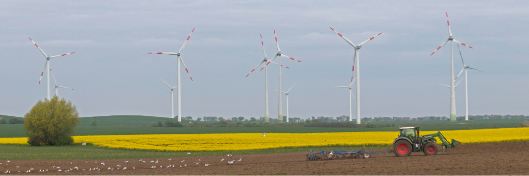 FES MV, © FES MV FES MV, © FES MV