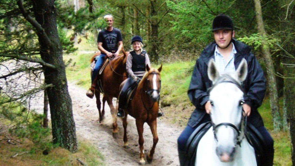 Auf naturbelassenen Sandb&ouml;den k&ouml;nnen Sie problemlos um die Ferienanlage Am Walde reiten. // &copy; Thamm