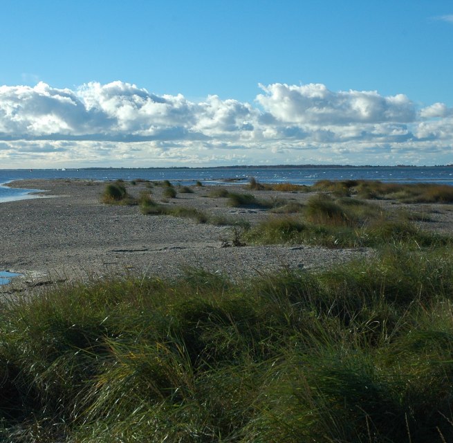 © Nationalparkamt Vorpommern © Nationalparkamt Vorpommern