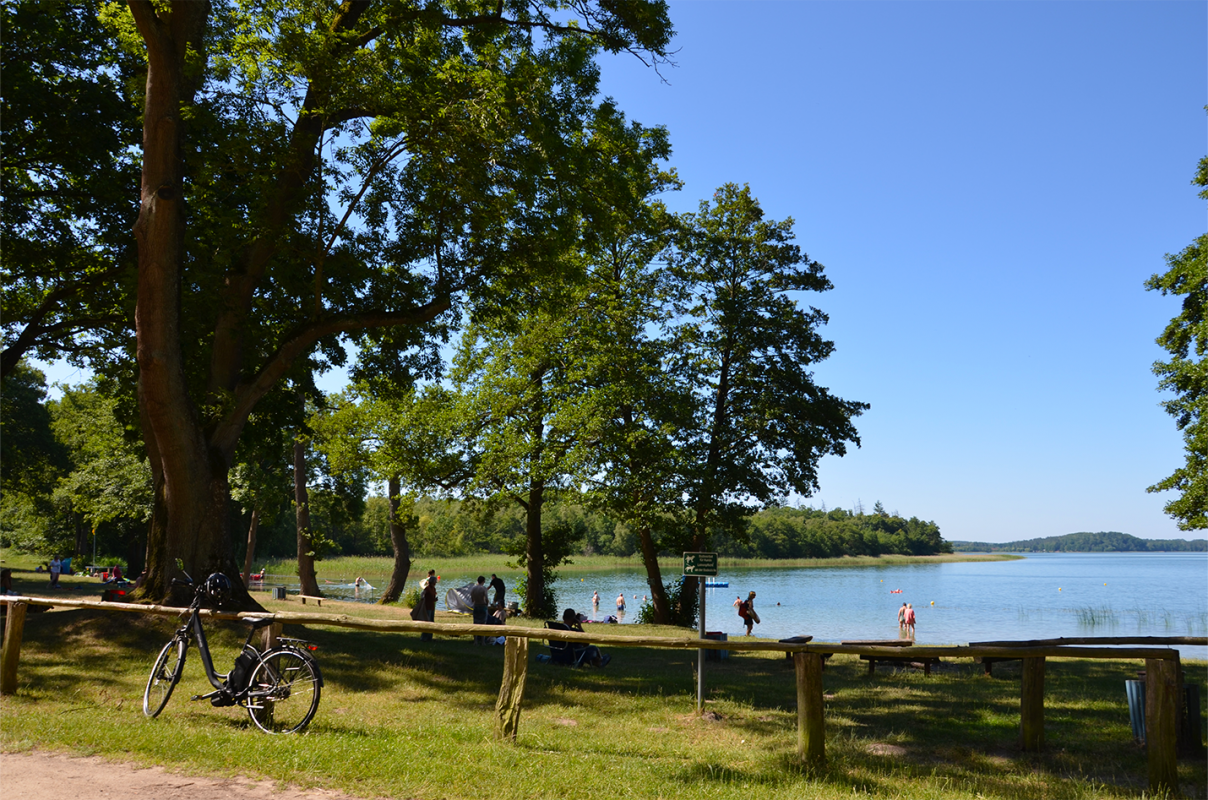 &copy; Martin M&ouml;ller