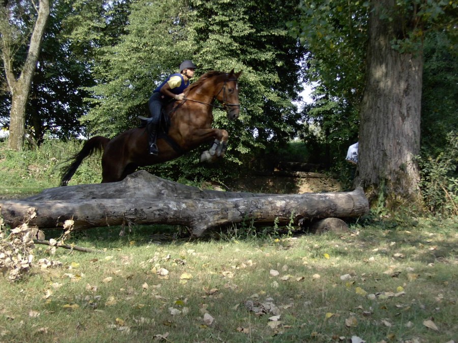 Reitsportzentrum Sabine Bender, © Sabine Bender Reitsportzentrum Sabine Bender, © Sabine Bender