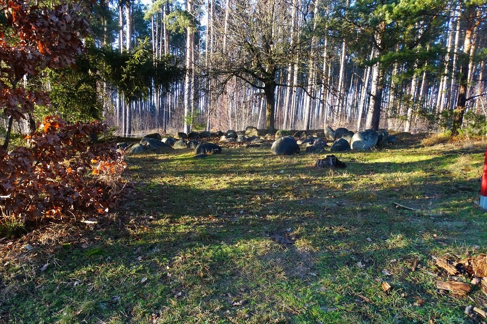 Radtour Naturpark Nossentiner/Schwinzer Heide, &copy; Andreas Breuer