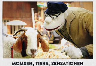 © DasStudioZwei © DasStudioZwei