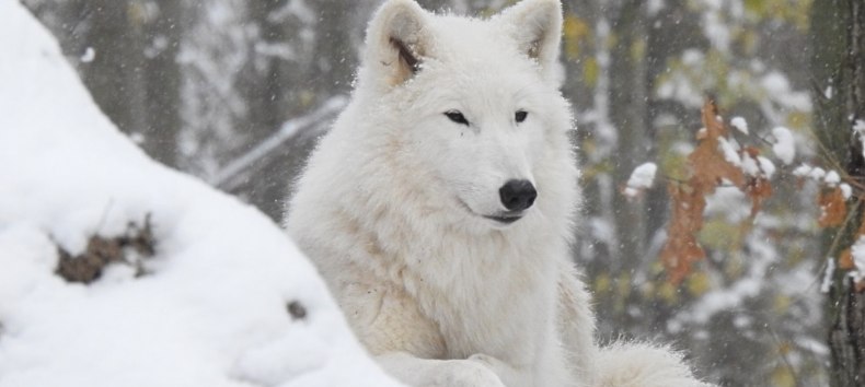 © Hansestadt Stralsund © Hansestadt Stralsund