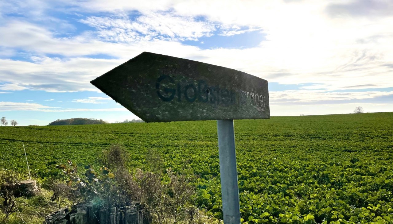 Großsteingrab Gnewitz 4, © TMV