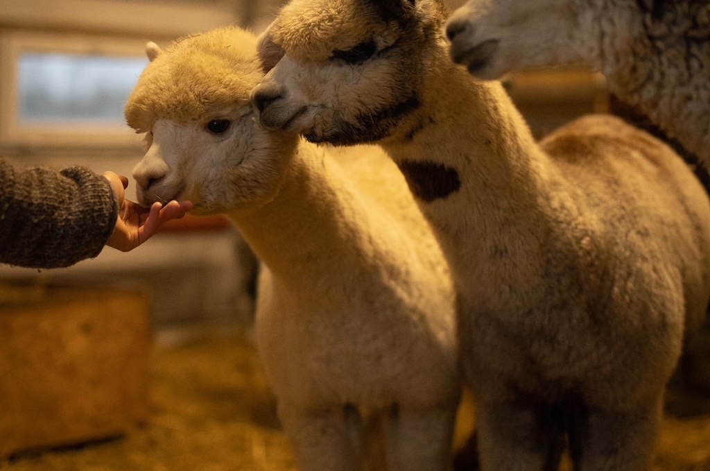 &copy; Sven Hasener / Gutes aus Vorpommern