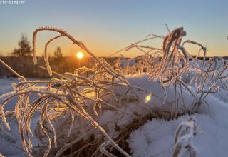 Paul Blei vom Förderverein wird mit Ihnen Spuren im Schnee (sofern vorhanden) suchen, Knospen und Zweige im Winterzustand bestimmen und die Überwinterungsstrategien der Insekten erläutern. Wer also Lust hat, seinen Kreislauf nach dem Winter wieder in Schwung zu bringen und frische Luft zu atmen, ist herzlichst bei dieser Wanderung rund um Burg Schlitz eingeladen., © Marin-Ziegler Paul Blei vom Förderverein wird mit Ihnen Spuren im Schnee (sofern vorhanden) suchen, Knospen und Zweige im Winterzustand bestimmen und die Überwinterungsstrategien der Insekten erläutern. Wer also Lust hat, seinen Kreislauf nach dem Winter wieder in Schwung zu bringen und frische Luft zu atmen, ist herzlichst bei dieser Wanderung rund um Burg Schlitz eingeladen., © Marin-Ziegler