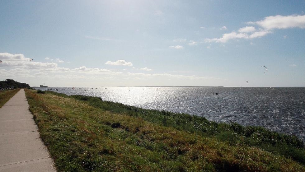 Schaproder Bodden // © surflocal.de Schaproder Bodden // © surflocal.de