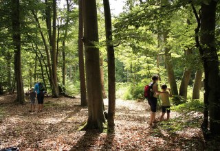 &copy; Nationalparkamt Vorpommern