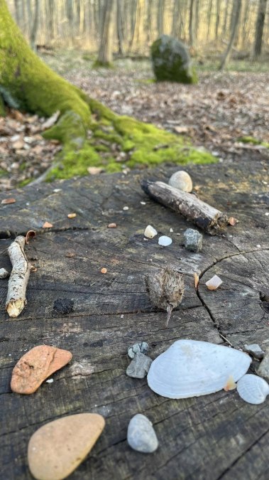 Kultstätte, © TZ Südliche Boddenküste Kultstätte, © TZ Südliche Boddenküste