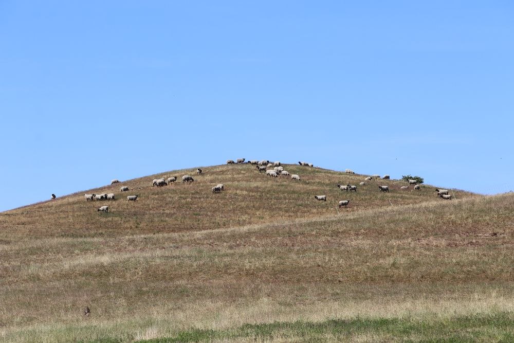 Zicker Berge, © Bildarchiv Biosphärenreservatsamt Südost-Rügen Zicker Berge, © Bildarchiv Biosphärenreservatsamt Südost-Rügen