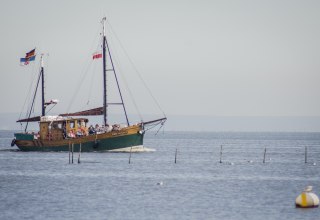 &copy; tvv/philipp schulz