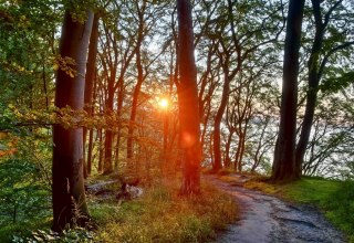 © Kurverwaltung Goehren / Martin Stoever © Kurverwaltung Goehren / Martin Stoever