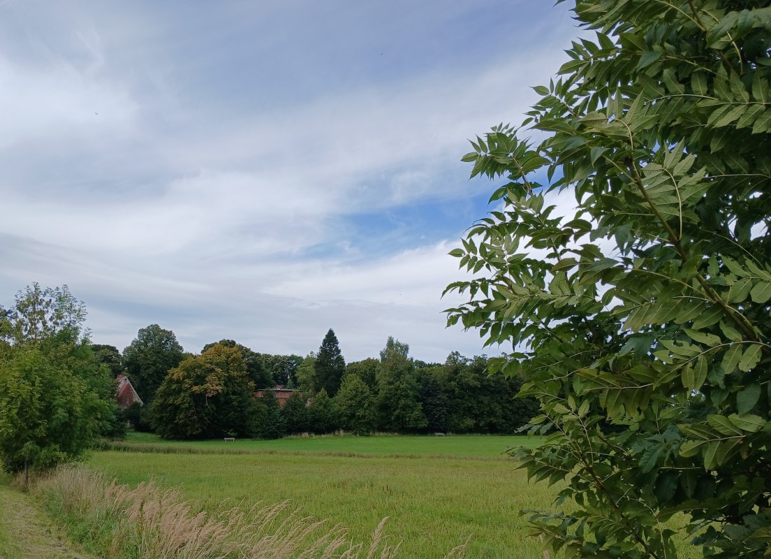 Blick zum Kloster St. J&uuml;rgen vor Rambin // &copy; Angela Pfennig