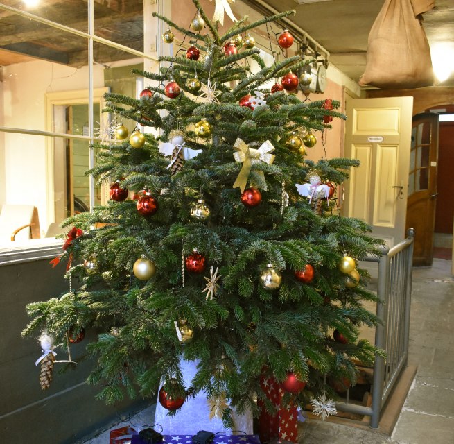 © STRALSUND MUSEUM © STRALSUND MUSEUM